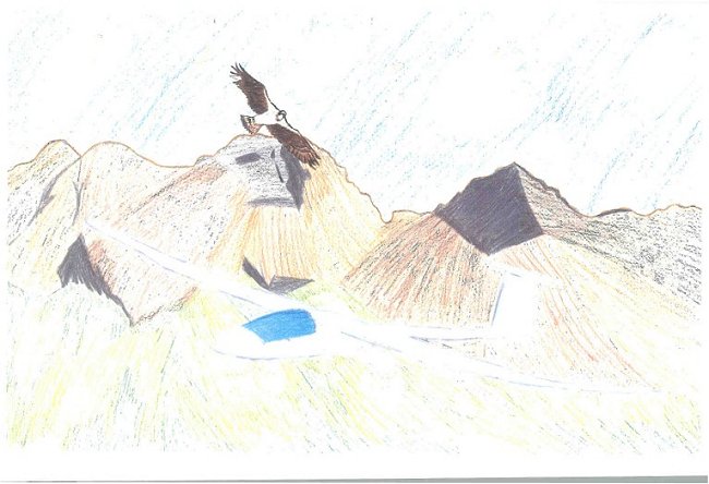 Category III, 2nd place winning entry
