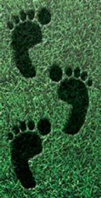 What is your green footprint? Footprints in grass.