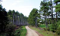 Photo of Rustic Road 102