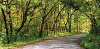 Photo of Rustic Road 103