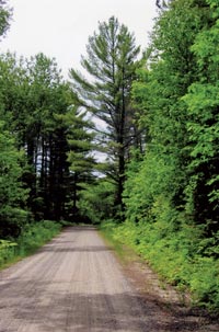 Photo of Rustic Road 34