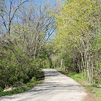 Photo of Rustic Road 46