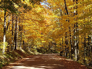 Photo of Rustic Road 114
