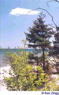 A sandy beach and the blue waters of Lake Michigan border Rustic Road 16