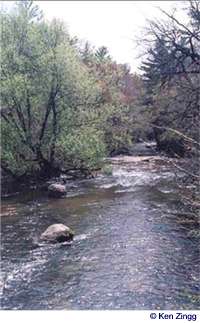 Rapids on the Tomorrow River flow beside Rustic Road 17