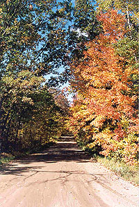 The full bloom of summer shrouds Rustic Road 45 in Eau Claire County