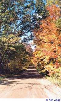 Autumn leaves begin to turn along Rustic Road 45