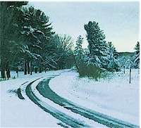 Rustic Road 48