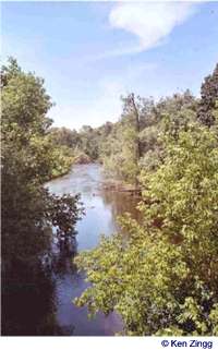 The Waupaca River flows under Cobbtown Road Bridge