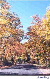 Colorful fall foliage wreaths Rustic Road 58
