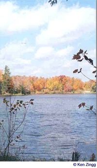 Timm's Lake borders a stretch of Rustic Road 62