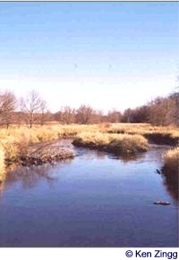 Even when the trees are bare and the grass brown, Badfish Creek along Rustic Road 68 glows