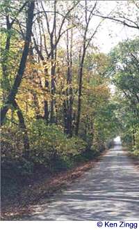 Rustic Road 75 runs straight beneath a bower of autumn leaves