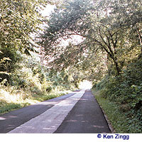 Skinner Hollow Road offers travelers rich, scenic wooded areas