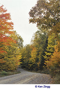 Rustic Road 95 provides autumn beauty for travelers